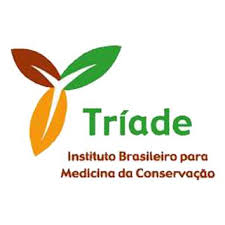Instituto Tríade Logo